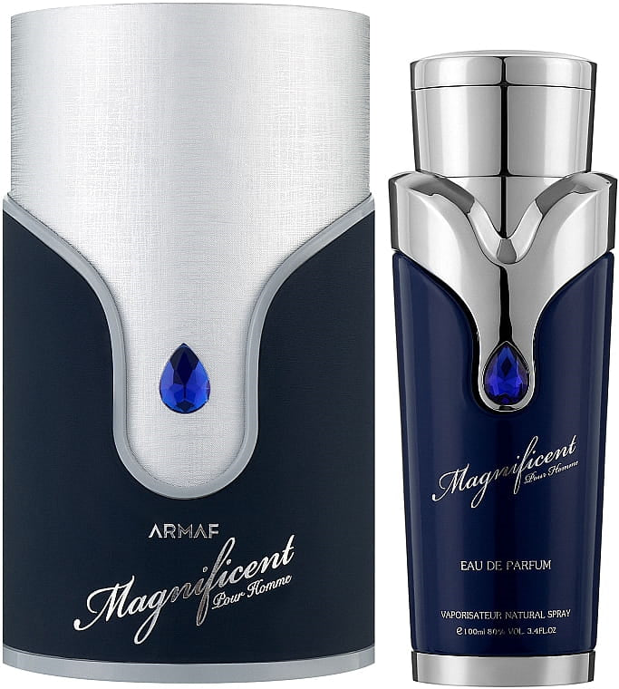 MAGNIFICENT BLUE  POUR HOMME3.4