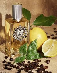 DEVOTION POUR HOMME By DOLCE & GABBANA 3.3